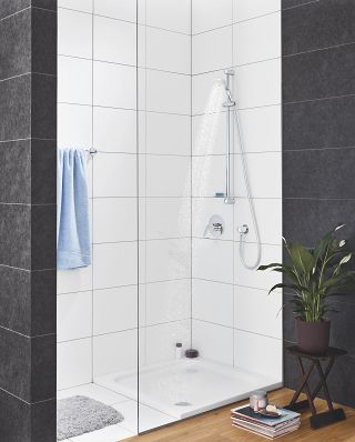 GROHE TEMPESTA 100 HAND SHOWER, 2 SPRAYS | CHROME