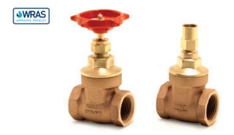 PEGLER BRONZE GATE VALVE PN20 1070/125 PT | 2 1/2 IN