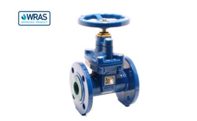 PEGLER DUCTILE IRON GATE VALVE PN16 V850 | DN80