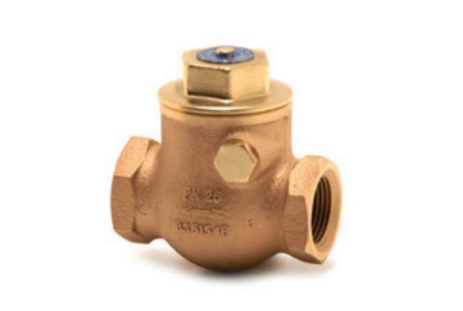 PEGLER BRONZE SWING CHECK VALVE PN25 1060A PT | 2 IN