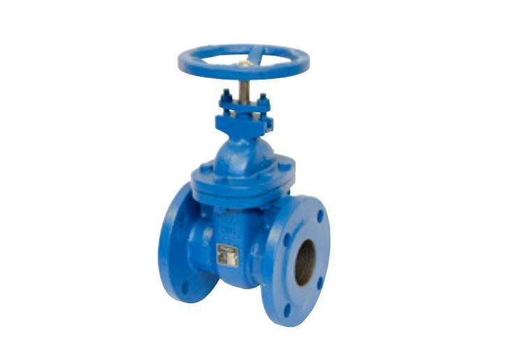 PEGLER DUCTILE IRON GATE VALVE PN16 V950 | DN 80