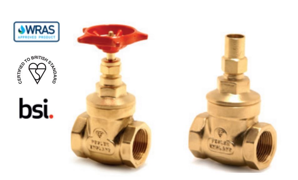 PEGLER BRASS GATE VALVE PN20 1068 PT | 2 1/2 IN