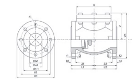 PEGLER CAST IRON SWING CHECK VALVE PN16 V914