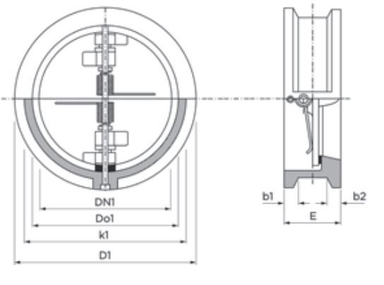 PEGLER CAST IRON WAFER CHECK VALVE 16 BAR V909 | 100 MM