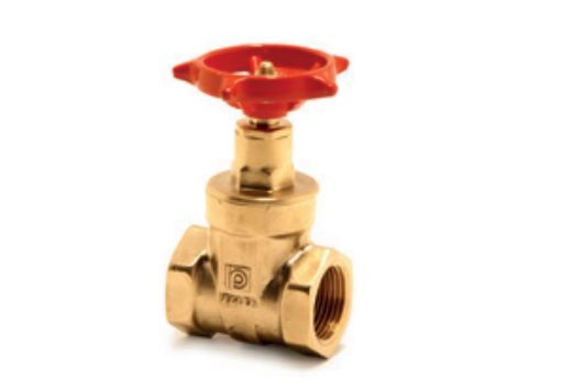 PEGLER BRASS GATE VALVE 1065 PT