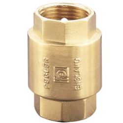 PEGLER BRASS SPRING CHECK VALVE 1063 PT
