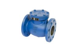 PEGLER CAST IRON SWING CHECK VALVE PN16 V914