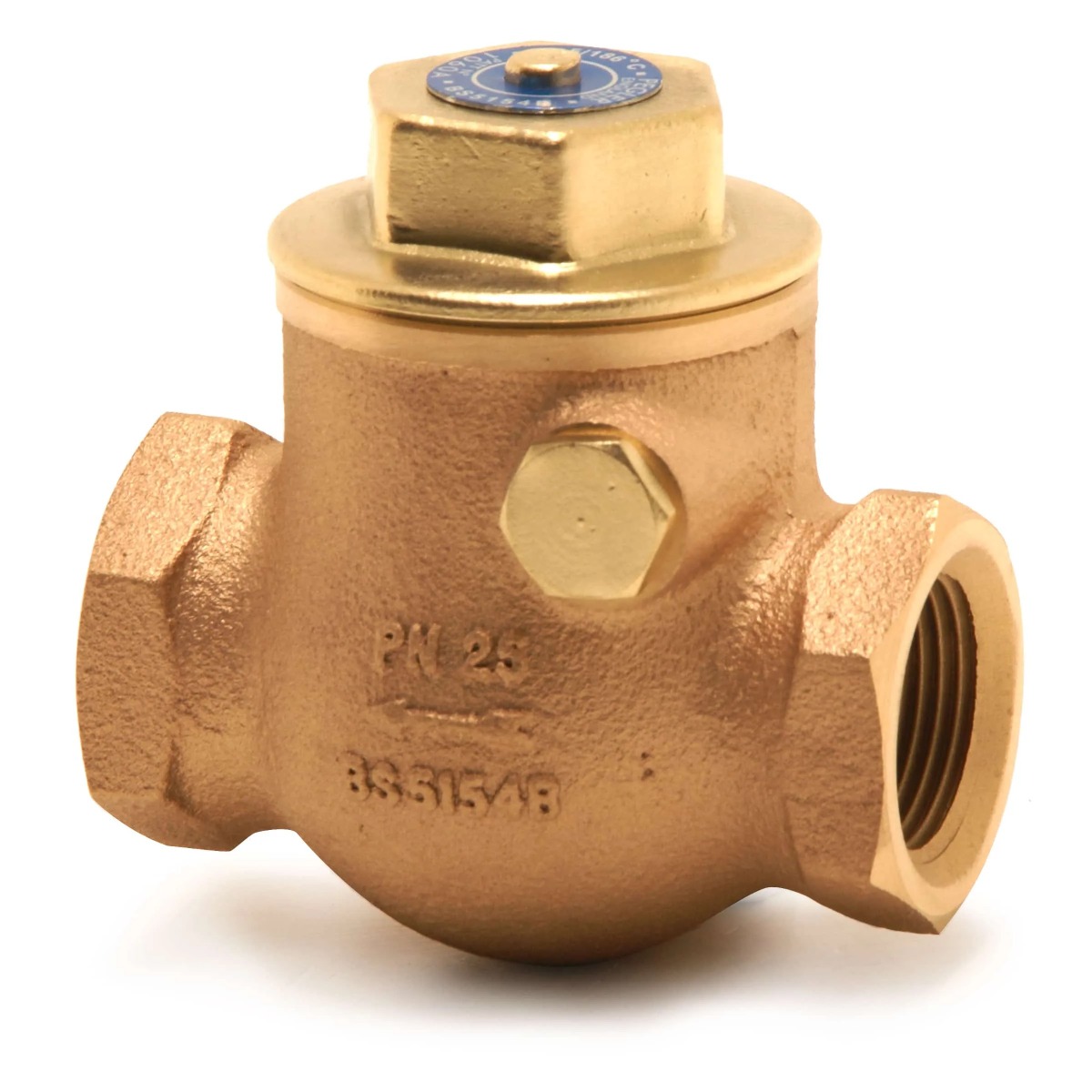 Check Valves