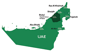 7 branches in the UAE
